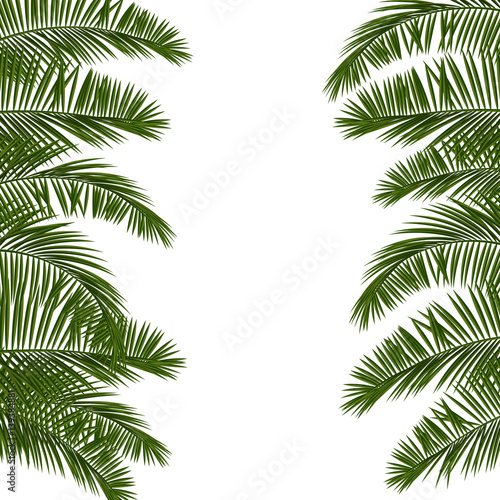 Hello Summer green palm leaf © Kapitosh