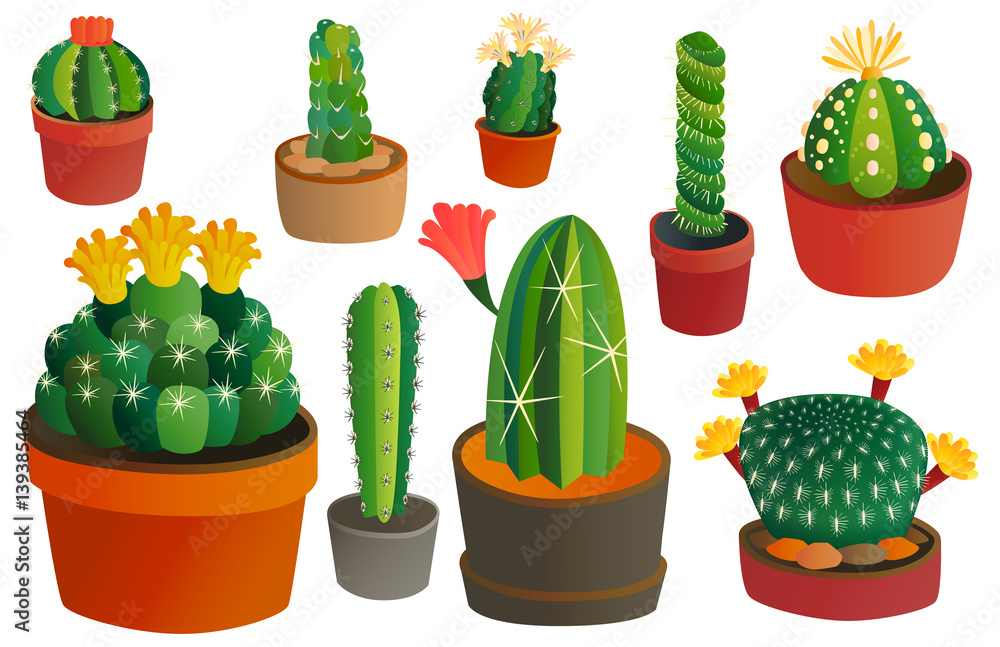 Cactus flat style nature desert flower green cartoon drawing graphic  mexican succulent and tropical plant garden art cacti floral vector  illustration. Stock Vector | Adobe Stock