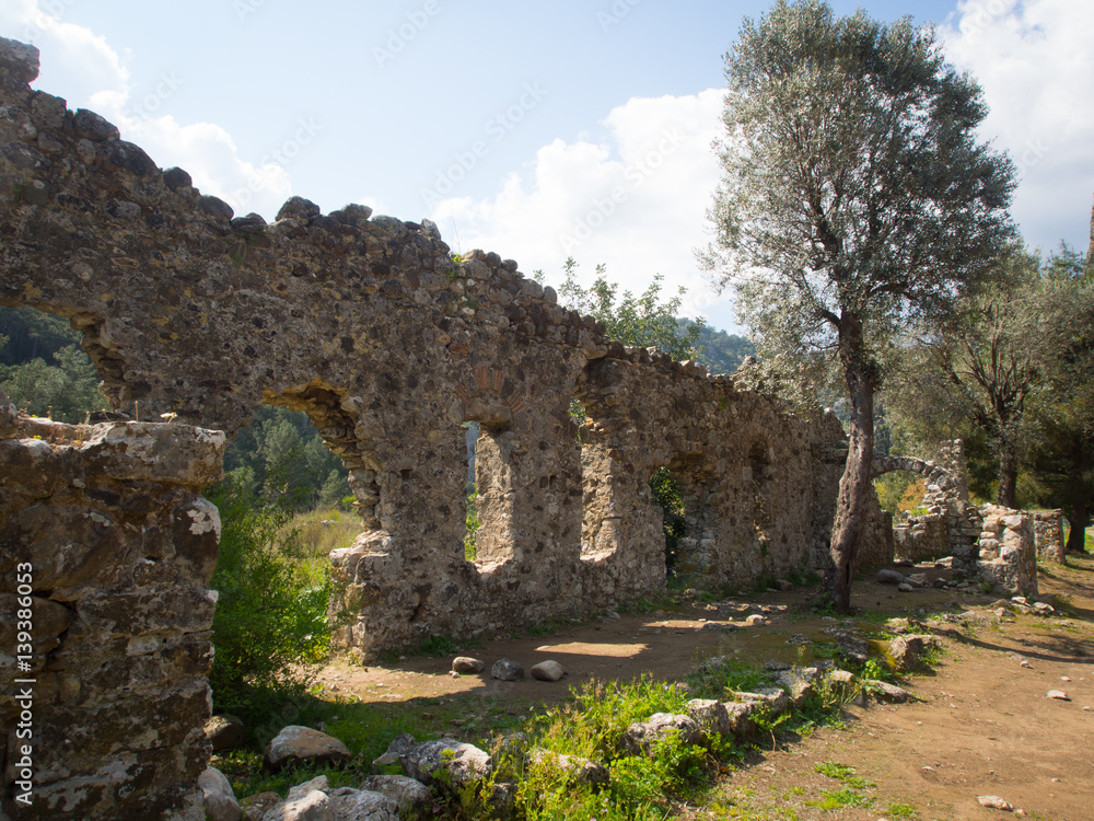 Olympos ruins, Cirali, Turkey