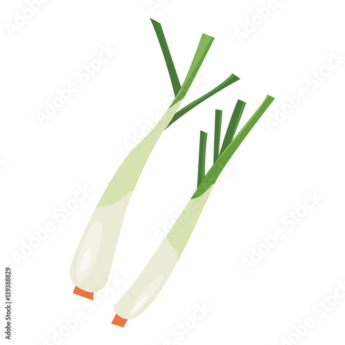 lemongrass isolated illustration