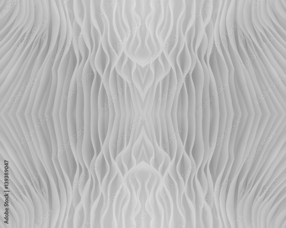 black and white abstract background macro image of Sajor-caju Mushroom black and white abstract background macro image of Sajor-caju Mushroom