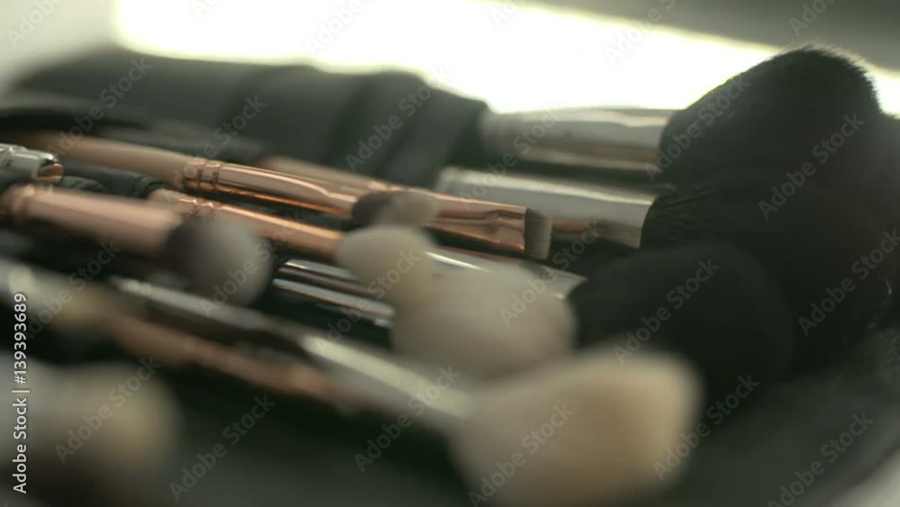 Professional Makeup Brushes Kit Professional Makeup Brushes Kit