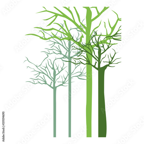 silhouette with trees without leafs vector illustration