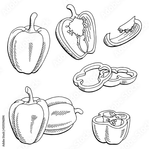 Pepper graphic black white isolated sketch illustration vector