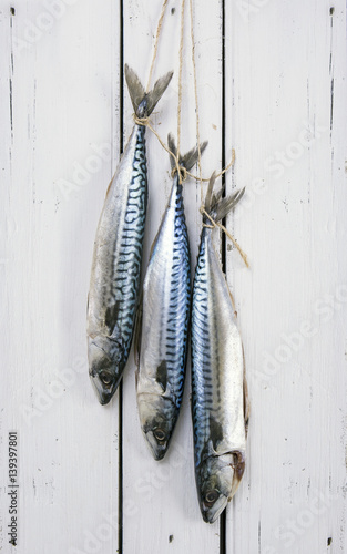 Three Fresh Mackerel hung on an old wooden door with string photo