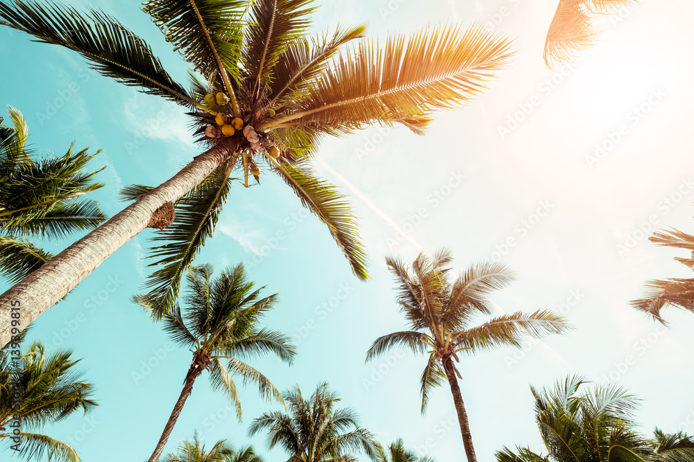Coconut palm tree on beach with sunlight  in summer - vintage color tone. - obrazy, fototapety, plakaty 