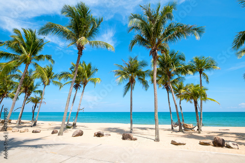Landscape of coconut palm tree on tropical beach in summer. © jakkapan
