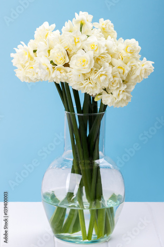 Fototapeta Naklejka Na Ścianę i Meble -  Close up of erlicheer daffodils