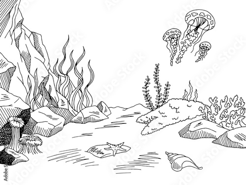 Underwater graphic sea black white sketch illustration vector
