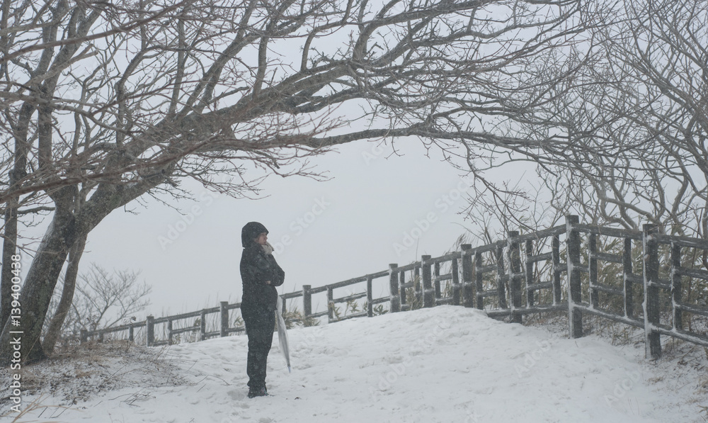 stand alone under the tree, japan