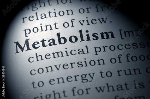definition of metabolism