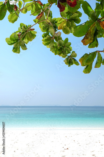 Landscape of sea sun sand beach under blue sky with green tree leaf frame. Summer holiday relax background with copy space.