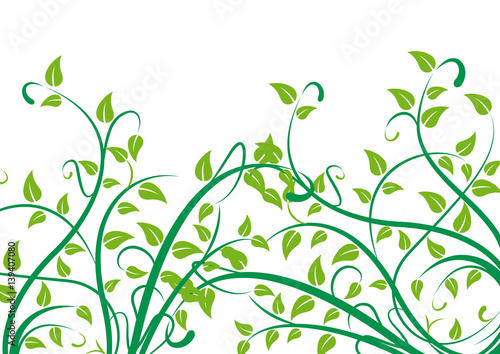 Spring background concept. Plants and foliage on white