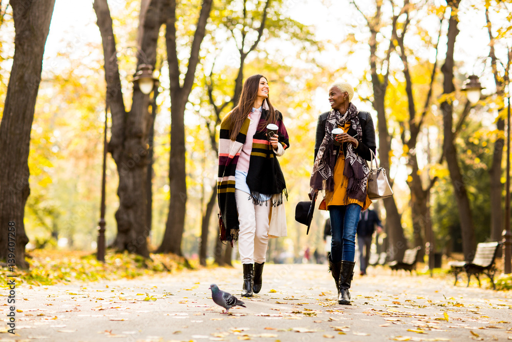 Fototapeta premium Multiracial female friends walking in teh autumn park
