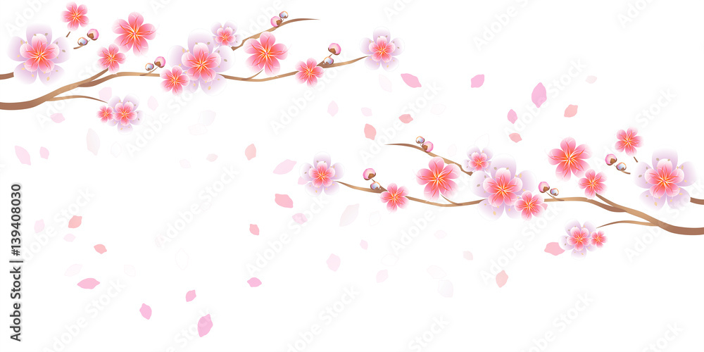Branches of Sakura and petals flying isolated on white background. Apple-tree flowers. Cherry blossom. Vector Branches of Sakura and petals flying isolated on white background. Apple-tree flowers. Cherry blossom. Vector