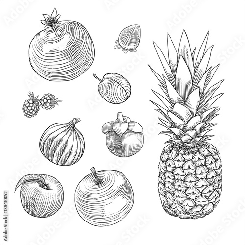 fruits isolated