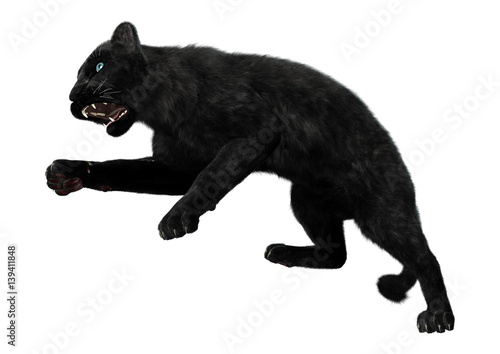 3D Rendering Black Panther on White