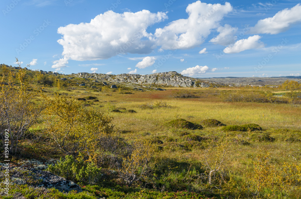 Fototapeta premium Hills,tundra,rocks and sky with white clouds.
