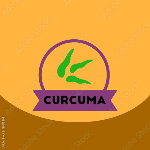 flat vector icon design collection Kitchenware seasoning curcuma