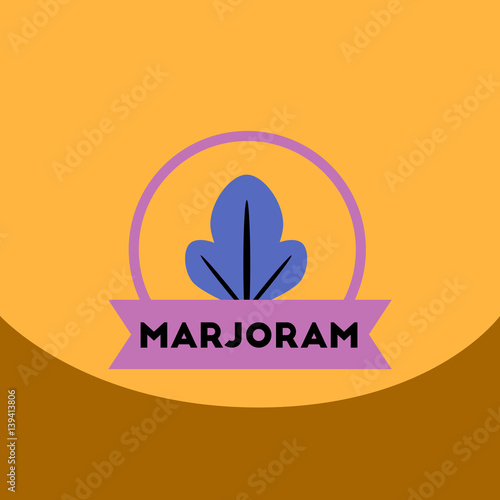 flat vector icon design collection Kitchenware seasoning marjoram