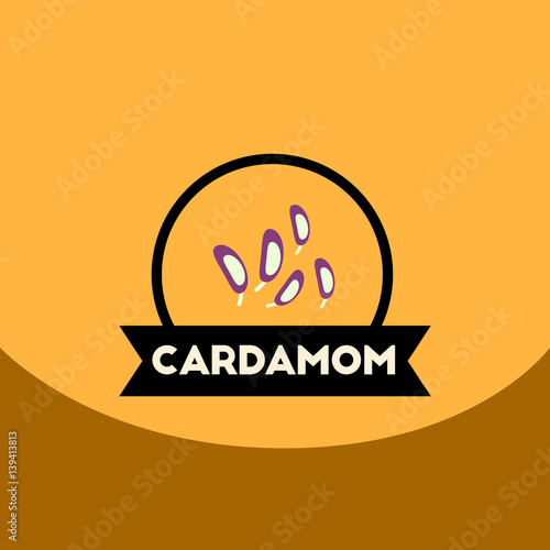 flat vector icon design collection Kitchenware seasoning cardamom