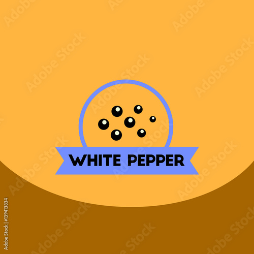 flat vector icon design collection Kitchenware seasoning white pepper