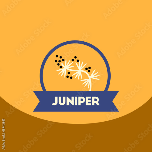 flat vector icon design collection Kitchenware seasoning juniper