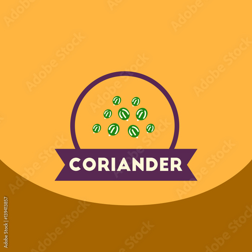 flat vector icon design collection Kitchenware seasoning coriander
