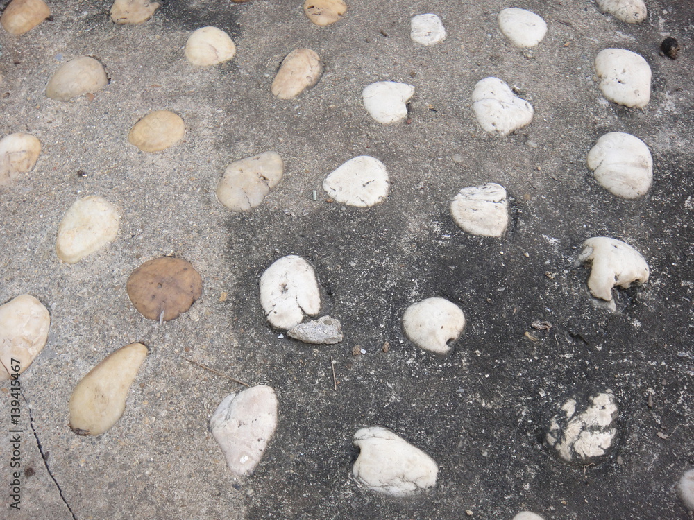 Fototapeta premium Decorative rock garden