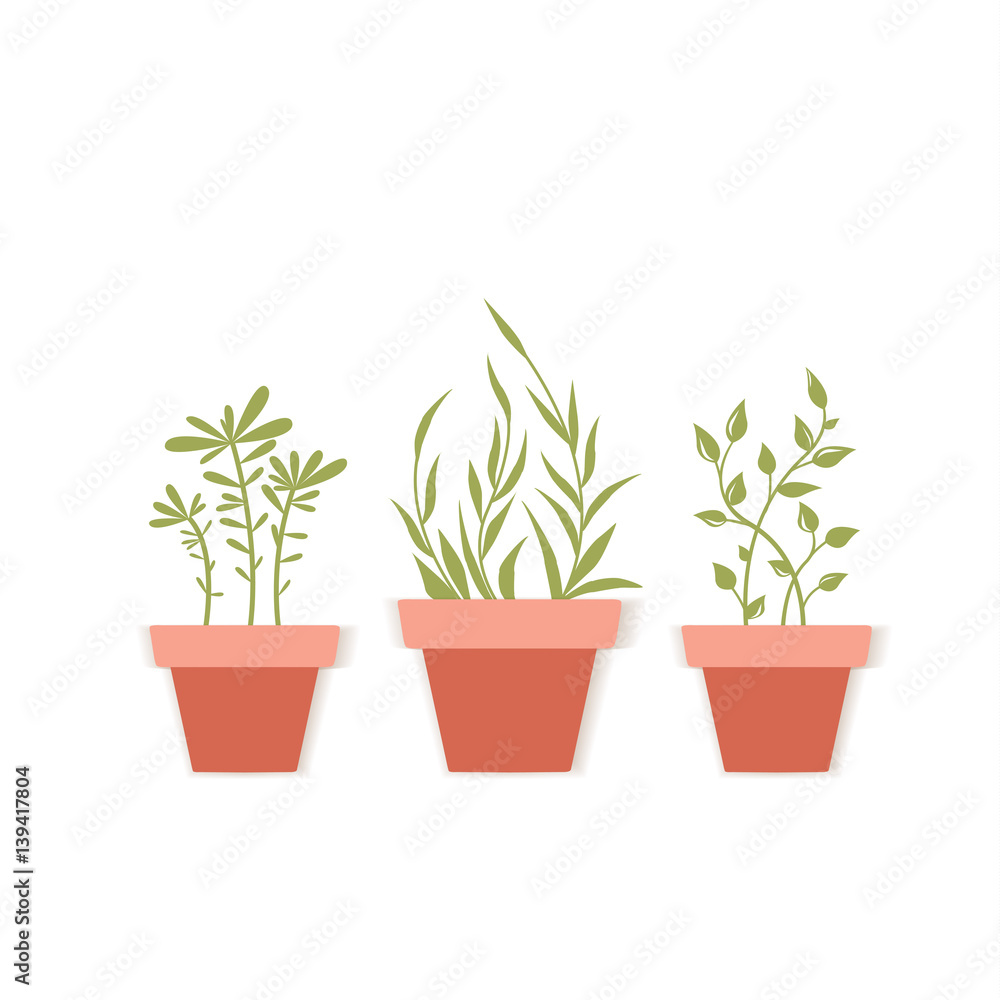 Obraz premium Vector potted plants