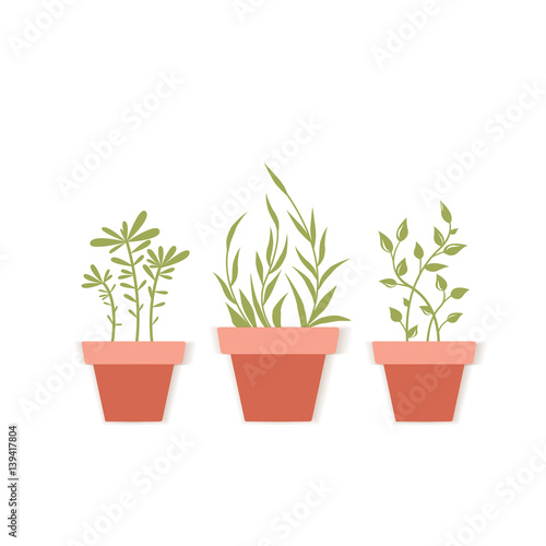 Vector potted plants © Miroslava Hlavacova