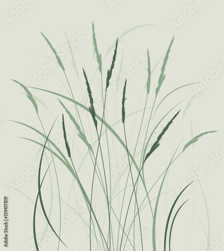 Grass in a meadow