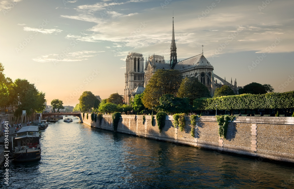 Notre-Dame in the morning