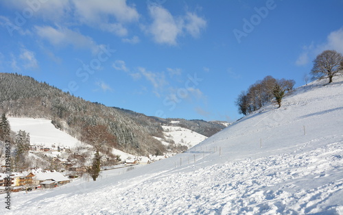 Winter im Schwarzwald