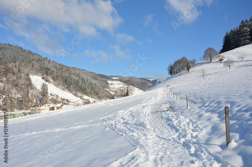 Winter im Schwarzwald