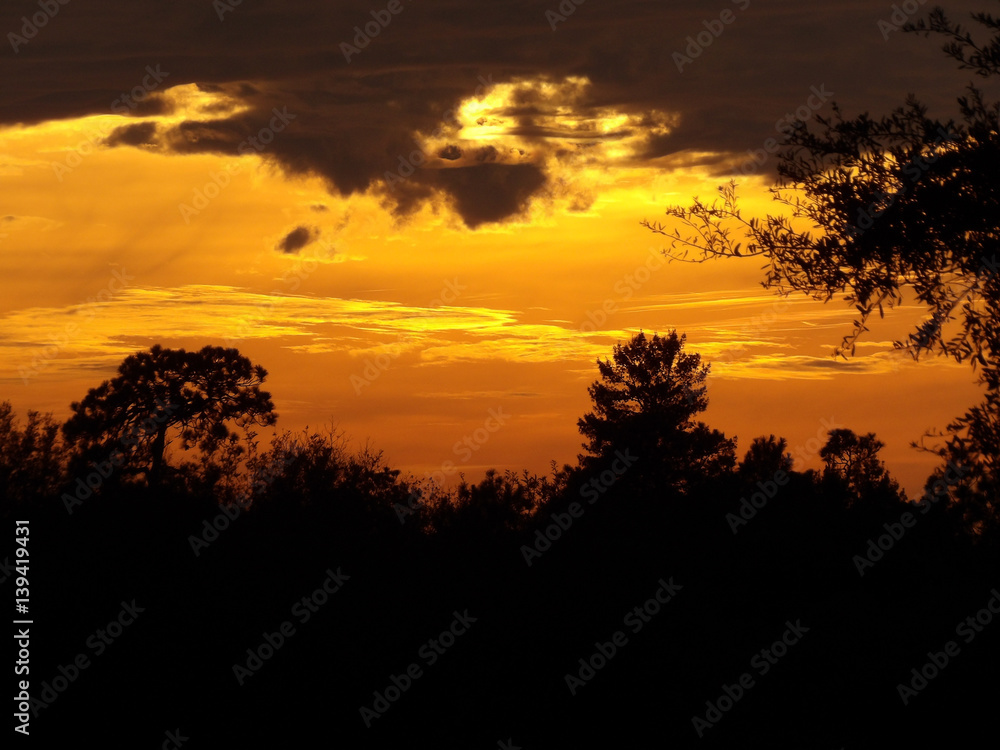 Prairie Sunset