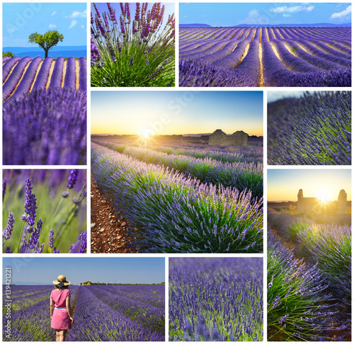 Fototapeta Naklejka Na Ścianę i Meble -  Lavender fields rectangular travel photo collage