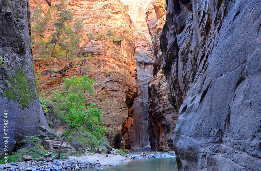 The Narrows passage with Virgin River, Zion National Park, Utah, USA