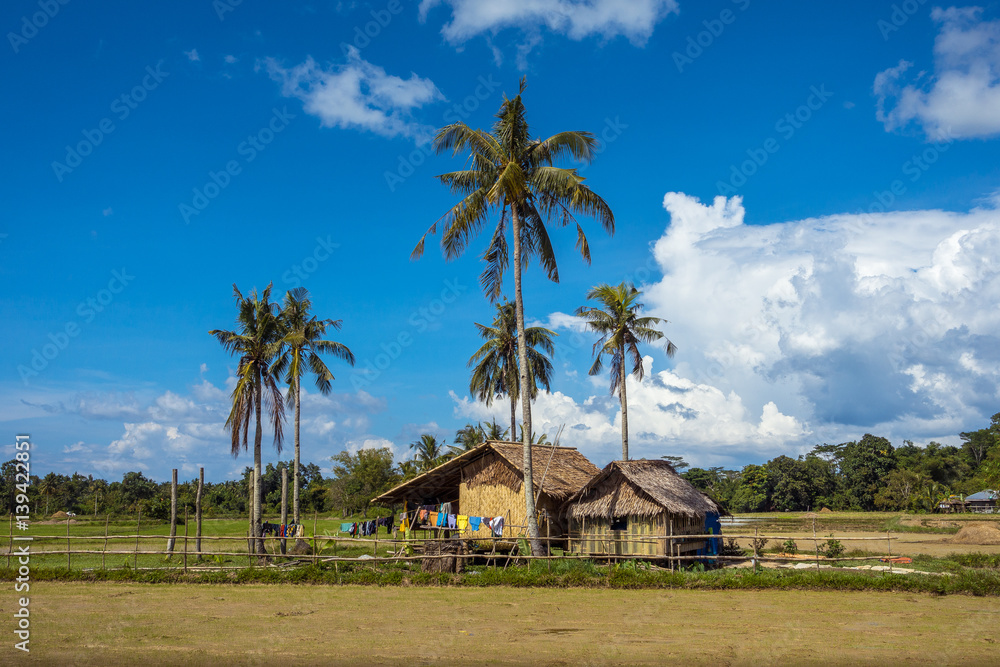 Nipa and bamboo huts with coconut trees on tropical farm - San Vicente, Palawan - Philippines Nipa and bamboo huts with coconut trees on tropical farm - San Vicente, Palawan - Philippines