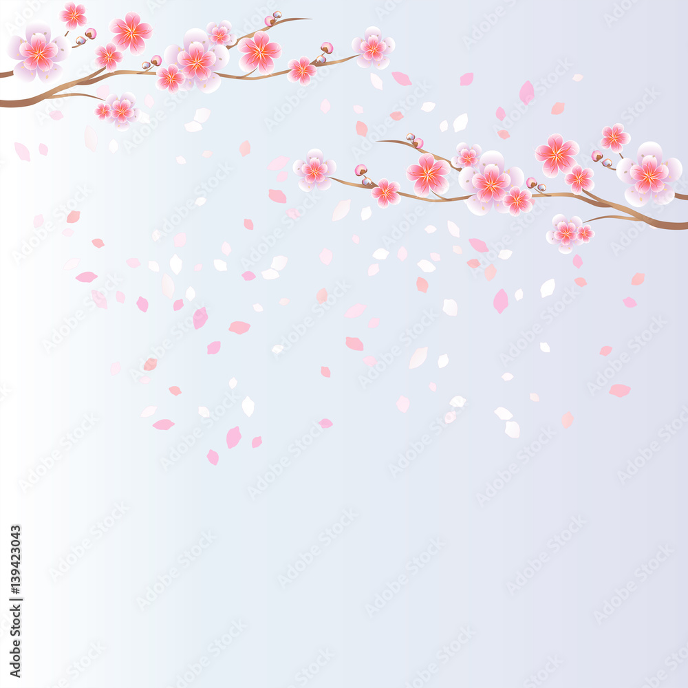 Branches of Sakura and petals flying isolated on light blue background. Apple-tree flowers. Cherry blossom. Vector Branches of Sakura and petals flying isolated on light blue background. Apple-tree flowers. Cherry blossom. Vector