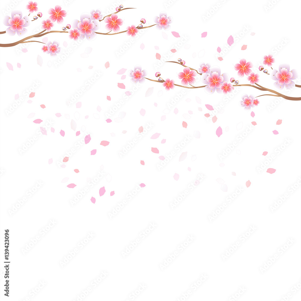 Branches of Sakura and petals flying isolated on white background. Apple-tree flowers. Cherry blossom. Vector Branches of Sakura and petals flying isolated on white background. Apple-tree flowers. Cherry blossom. Vector
