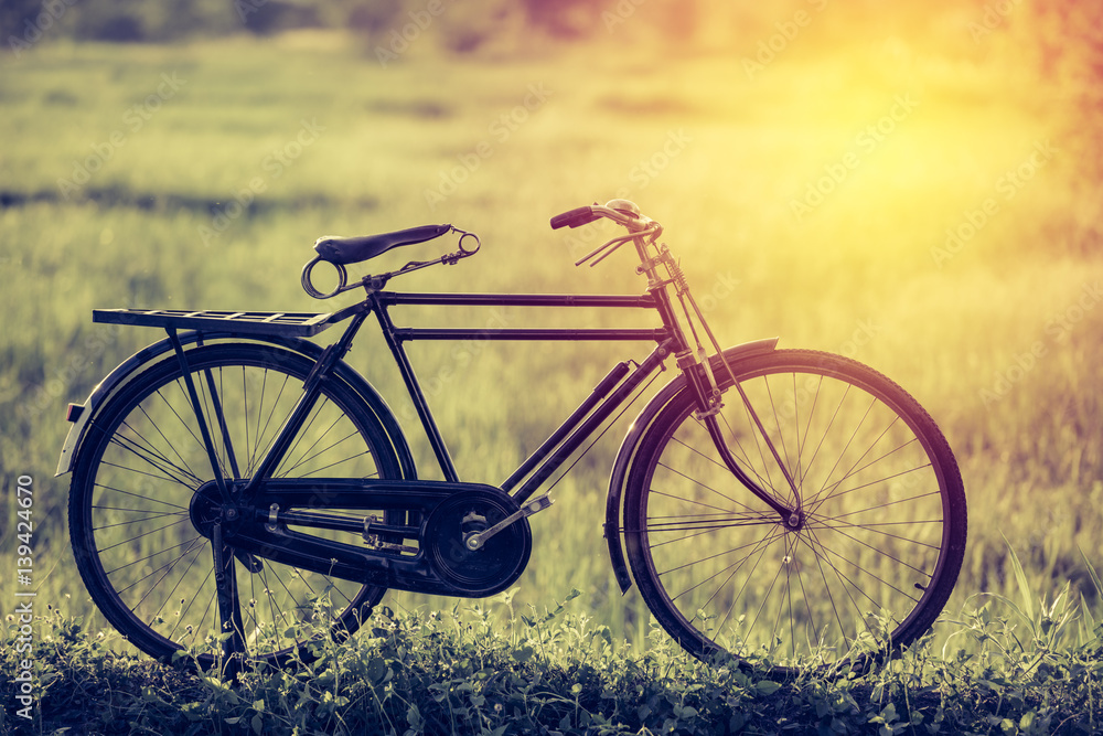 beautiful landscape image with vintage bicycle;vintage tone style