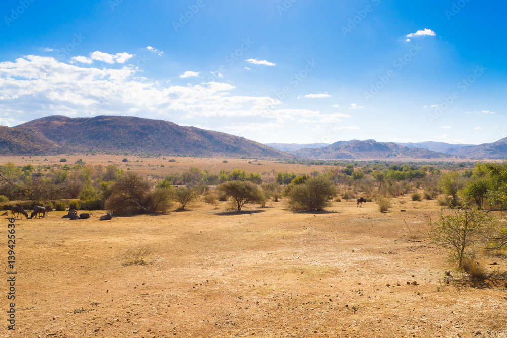 Landscape from Pilanesberg National Park, South Africa Landscape from Pilanesberg National Park, South Africa