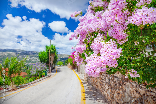 Fototapeta Naklejka Na Ścianę i Meble -  Street in Kefalonia, Greece
