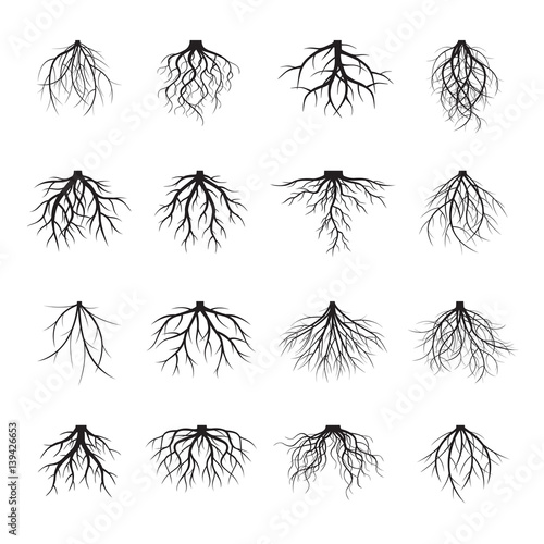 Big Set of Black Roots. Vector Illustration.