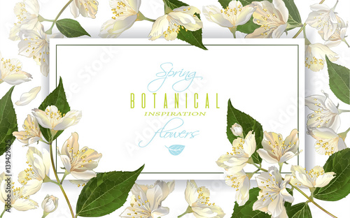 Jasmine flowers banner