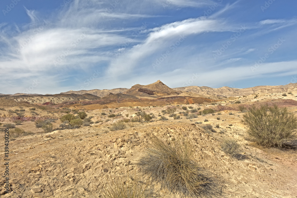 Arid desert in Israel.
