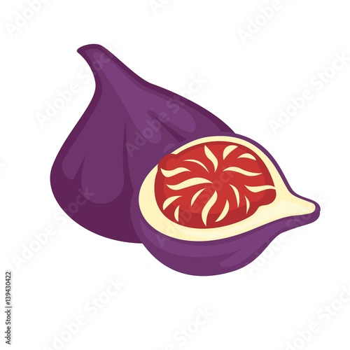 Sandpaper fig whole and half isolated. Purple fresh ficus