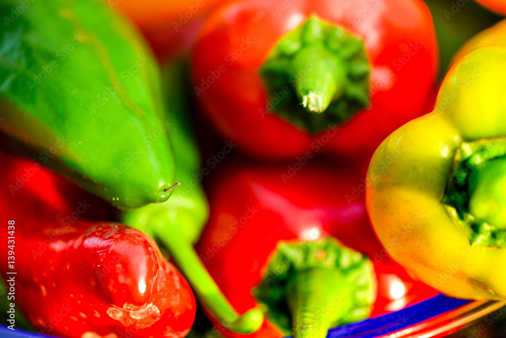 Summer harvest. Freshly picked, red, green and yellow sweet peppers, laying in grass in garden. Healthy eating, fresh food, vegetables, vitamins, diet, fitness. Making fresh salads for dinner. Tasty Summer harvest. Freshly picked, red, green and yellow sweet peppers, laying in grass in garden. Healthy eating, fresh food, vegetables, vitamins, diet, fitness. Making fresh salads for dinner. Tasty
