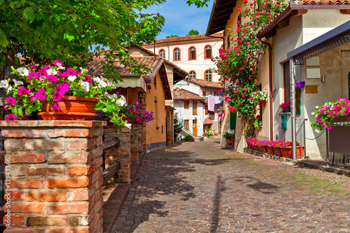 Fotografia, Obraz Narrow street and typical houses in town of Barolo.